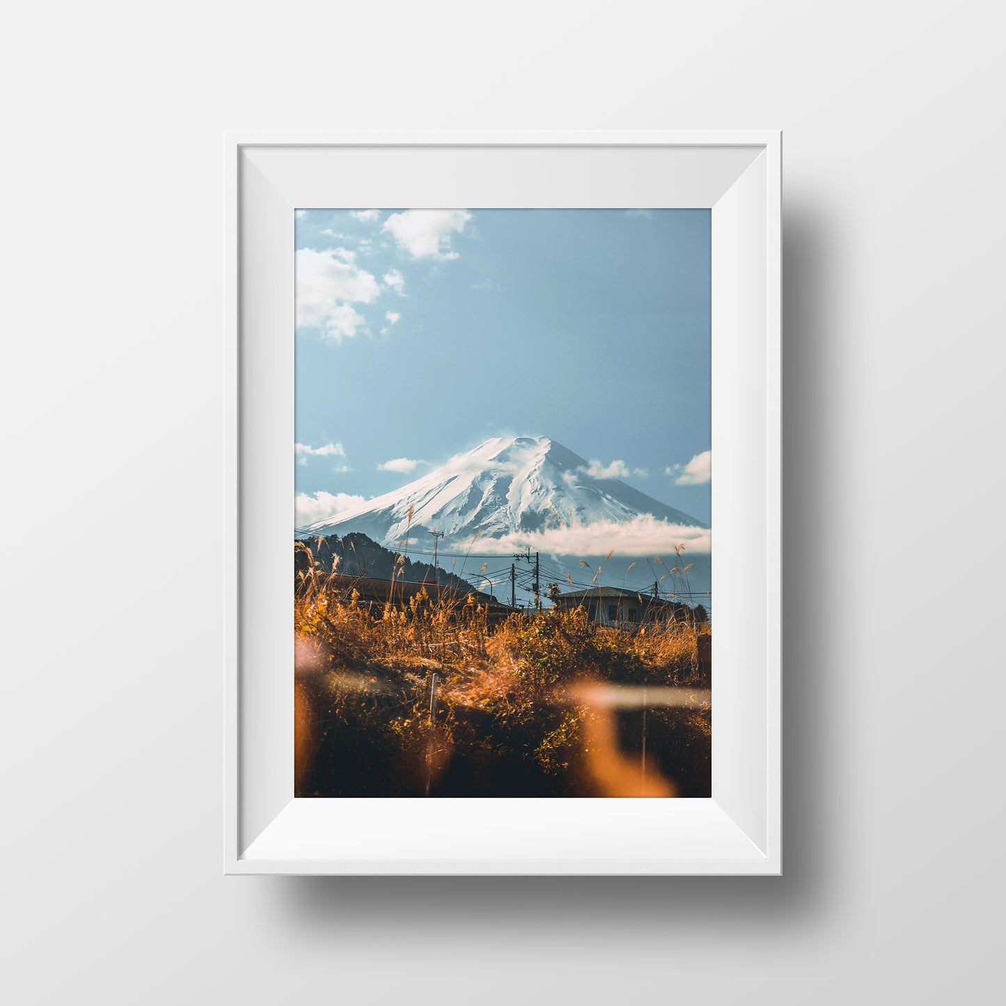 Fuji from a Train Window
