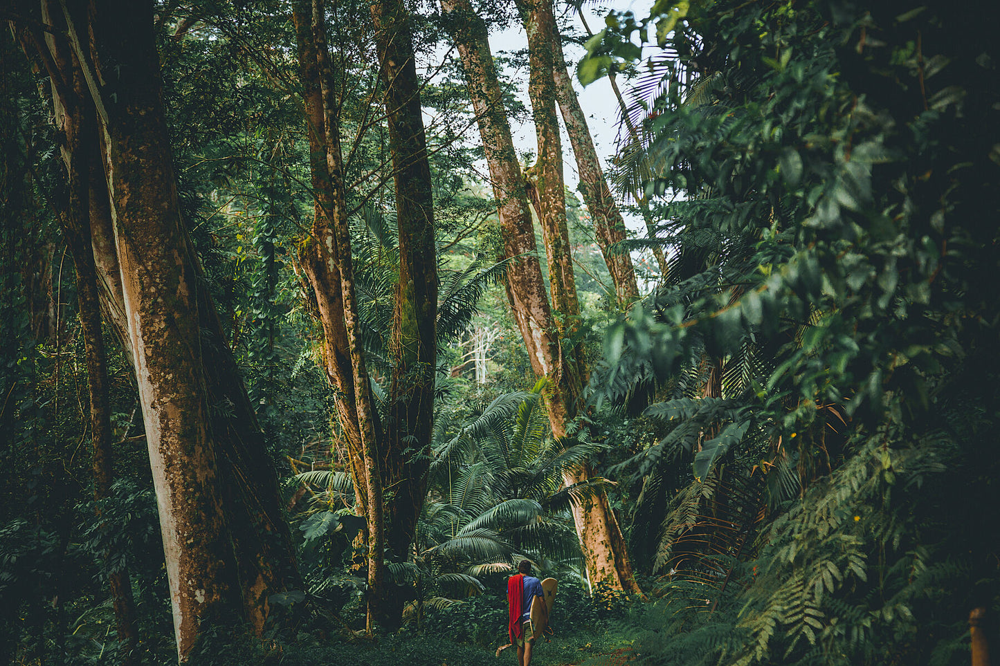Jungle Surfer