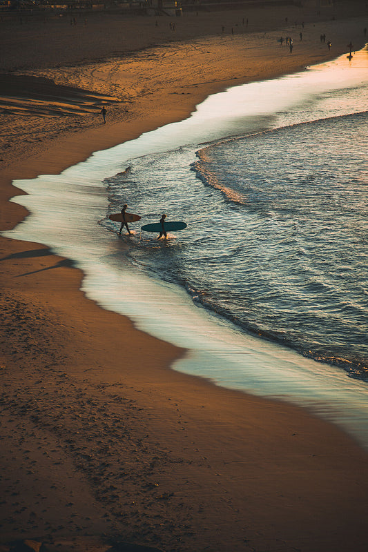 Bondi Surfers