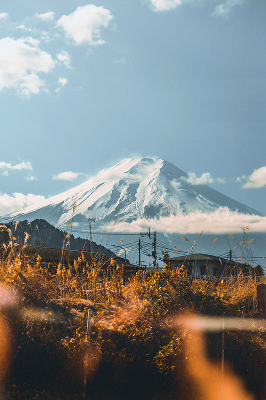 Fuji from a Train Window